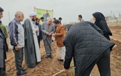 هدیه سبز شهرداری به زرندی‌ها؛ درخت رایگان برای زیبایی شهر!
