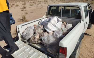 معدومسازی بیش از یک تُن گوشت فاسد و پلمب واحد غیرمجاز خوراک دام در زرند معدومسازی بیش از یک تُن گوشت فاسد و پلمب واحد غیرمجاز خوراک دام در زرند